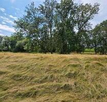Familienfreundliche 160m² Wohnung auf ehemaligem Obsthof - Haseldorf