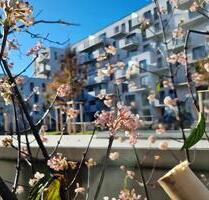 ohne Makler Helle Neubauwohnung – ideal für Familien - München Aubing-Lochhausen-Langwied