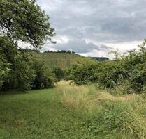 Wiese, Garten, Kleingarten, Streuobstwiese, Schrebergarten - Korb