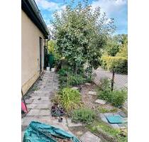 Garten in Kleingartenanlage 481 m² - Leipzig Altwest