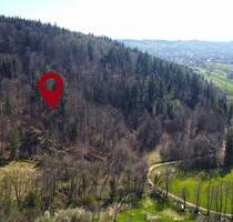 1 ha Waldfläche bei Hausen im Wiesental - Schopfheim