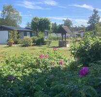 Bungalow- unterhalb der Insel Usedom - Ueckermünde