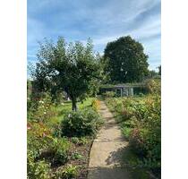 Garten zu verpachten in Bandelin - Gützkow