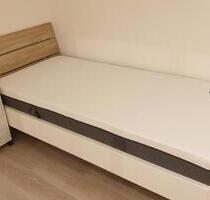 Möbliertes ein Zimmer Apartment im Rhein Main Gebiet. - Nauheim