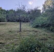 Wiesen- Gartengrundstück St Bernhardt „Gillen“ ES zu verpachten - Esslingen am Neckar Hegensberg