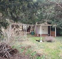 Verpachte naturnahen Garten in Dresden-Coschütz