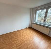 Wo wenig Raum viel Leben birgt. - Halle (Saale) Halle-Neustadt