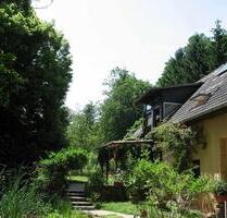 Alleinlage im Nordpfälzer Bergland - Steinwenden