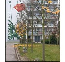 Nachmieter für altersgerechte Wohnung für Mieter ab 60 Jahre - Berlin Hellersdorf