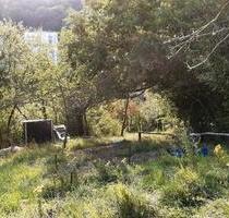 Garten zu verpachten, Freizeitgrundstück - Tübingen