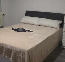 1 Zimmer in ein 4 er Wg - 550,00 EUR Kaltmiete, ca.  100,00 m² in Kempten (Allgäu) (PLZ: 87435)