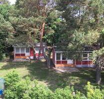 4 Sommerhäuser am Waldsee zur Pacht, südlich von Berlin - Am Mellensee