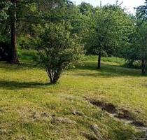 vollerschlossene Baugrundstücke im Johannistal - Mühlhausen (Thüringen)