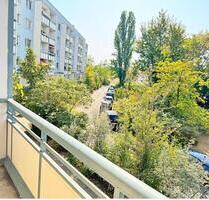3-Raum-Wohnung zur Selbstrenovierung - Halle (Saale) Gesundbrunnen