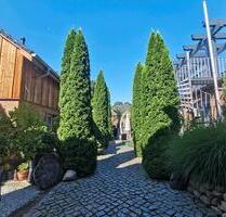 2 Raum Wohnung für Berufspendler, oder Wohnen auf Zeit - Frankfurt (Oder) Booßen