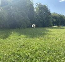 *~Wohnglück mit Idylle gepaart. Hier finden Sie Ihren Traum.~* - Recklinghausen König Ludwig