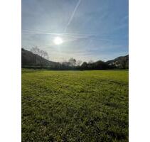 *SELTENHEIT* Tolles und Sonniges Freizeitgrundstück - Stühlingen