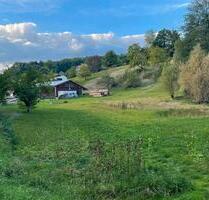 Grundstück Wiese Landwirtschaftliche Fläche - Plüderhausen