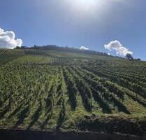 Rebland mit Rheintalblick - 1.130,00 EUR Kaltmiete, in Baden-Baden (PLZ: 76534) Lichtental