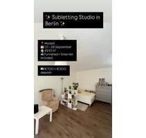 Sublenting Studio with Balcony 01.09.2025 - 28.09.2025 - Berlin Mitte