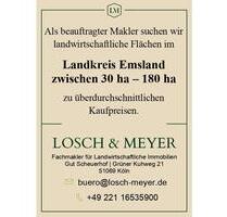 Landwirtschaftliche Flächen zwischen 30 ha - 180 ha im Landkreis Emsland - Meppen
