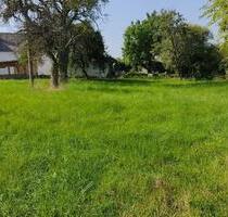 ✅️Idyllisches Baugrundstück in Ernzen✅️ * PROVISIONSFREI * - Echternacherbrück