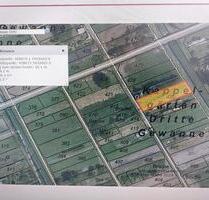 Gartenland in Kapsweyer - 100,00 EUR Kaltmiete, ca.  0,00 m² in Klingenmünster (PLZ: 76889)