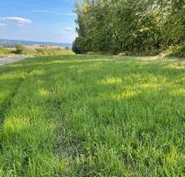 Wiesengründstück, ackerland - 5,00 EUR Kaltmiete, ca.  0,00 m² in Kirchheimbolanden (PLZ: 67292)