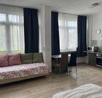 Schöne, vollmöblierte 1-Zimmer-Wohnung in Heiningen