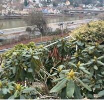 Mietwohnung - 700,00&nbsp;EUR Kaltmiete, ca.&nbsp; 56,00&nbsp;m&sup2; in Heidelberg (PLZ: 69118) Peterstal