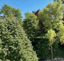 Mietwohnung gegenüber dem Bochumer Stadtpark