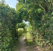Pachtgarten auf Poel abzugeben - 200,00 EUR Kaltmiete, ca.  0,00 m² in Insel Poel (PLZ: 23999)