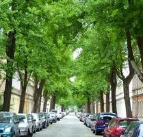 2-Raumwohnung zur Untermiete - 520,00 EUR Kaltmiete, ca.  43,00 m² in Dresden (PLZ: 01129) Pieschen