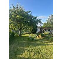 Gartenlaube KGA Hellbach - 1.200,00 EUR Kaltmiete, ca.  0,00 m² in Rostock (PLZ: 18055)