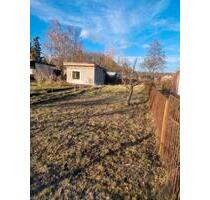 Garten abzugeben - 50,00 EUR Kaltmiete, ca.  0,00 m² in Spremberg (PLZ: 03130)