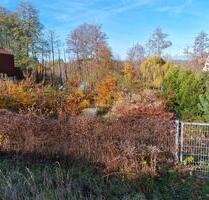 Grundstück zur Miete – Ideal für Gemüseanbau oder Stellplatz Tiny - Hohen Neuendorf