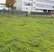 Biebrich Garten zu Vermieten - 210,00 EUR Kaltmiete, ca.  0,00 m² in Wiesbaden (PLZ: 65203) Biebrich