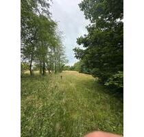 Garten Acker Wiese Waldgrundstück Freizeit - Gaggenau
