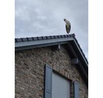 Einfamilienhaus zu verkaufen - 675.000,00 EUR Kaufpreis, ca.  170,00 m² in Benz (PLZ: 23970)