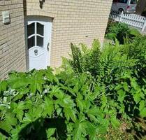3.5 Zimmerwohnung mit EBK, Terrasse und Gartenanteil - Bretzfeld