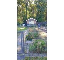 Schrebergarten, kleingarten zu verpachten, 470 qm - Gifhorn
