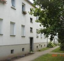 2-Zimmer-Whg. in Ziltendorf - 389,00 EUR Kaltmiete, ca.  46,00 m² in Brieskow-Finkenheerd (PLZ: 15295)