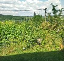Berglen Lehnenberg - 1.090,00 EUR Kaltmiete, in Berglen (PLZ: 73663)