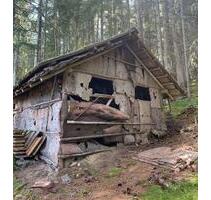 Haus mit Grundstück Einfamilienhaus - Waldbröl