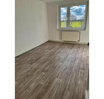 4- Raumwohnung in der Wische, unweit der Elbe - Seehausen (Altmark)
