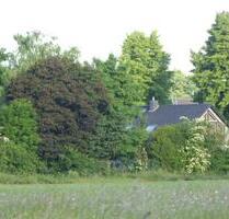 Ruhiges Wohnen in der Natur - 380.000,00 EUR Kaufpreis, ca.  190,00 m² in Düren (PLZ: 52353) Mariaweiler-Hoven