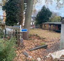 Grundstück - Gartenhaus zu Vermieten - Essen Stadtbezirk V