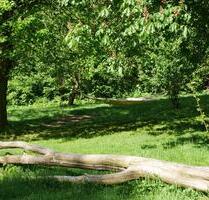 Zu verpachten: Gartengrundstück in Horn Bad Meinberg Holzhausen - Horn-Bad Meinberg