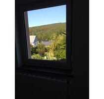 Wohnen im grünen Auerbach - 305,00 EUR Kaltmiete, ca.  59,50 m² in Auerbach (PLZ: 09392)