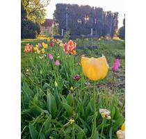 sonniger Eigentumsgarten, Privatgrundstück, Privatgarten - Blankenhain
